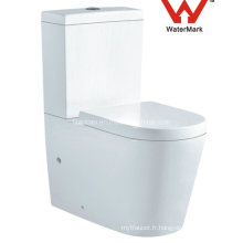 Watermark Sanitary Ware Toilette lavabo en céramique à deux pièces (563)